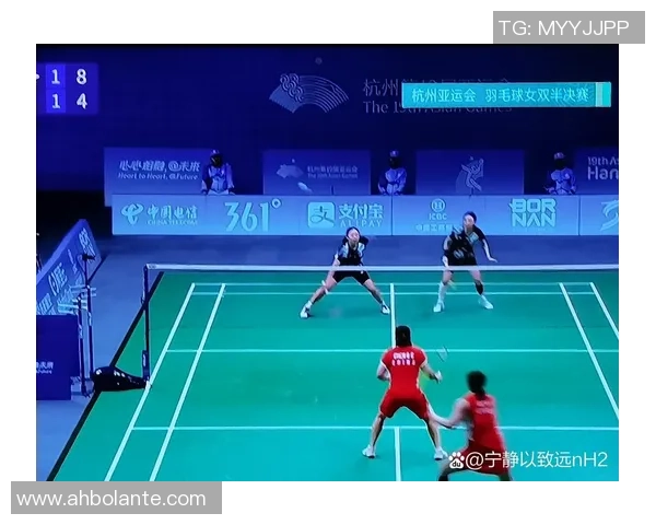 杭州羽毛球队与深圳羽毛球队耐力对决赛后深度分析与反思